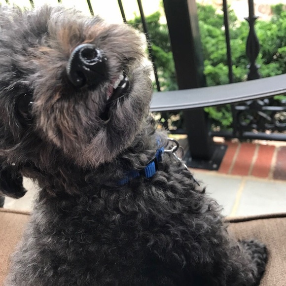 Meet your Posher, Katie - Picture 1 of 1